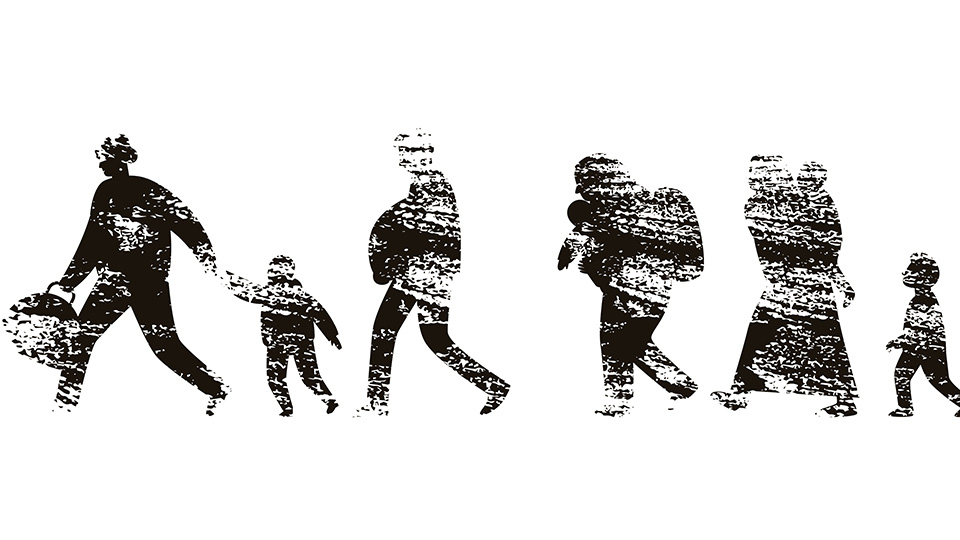 Coming face to face with war in a wildlife sanctuary